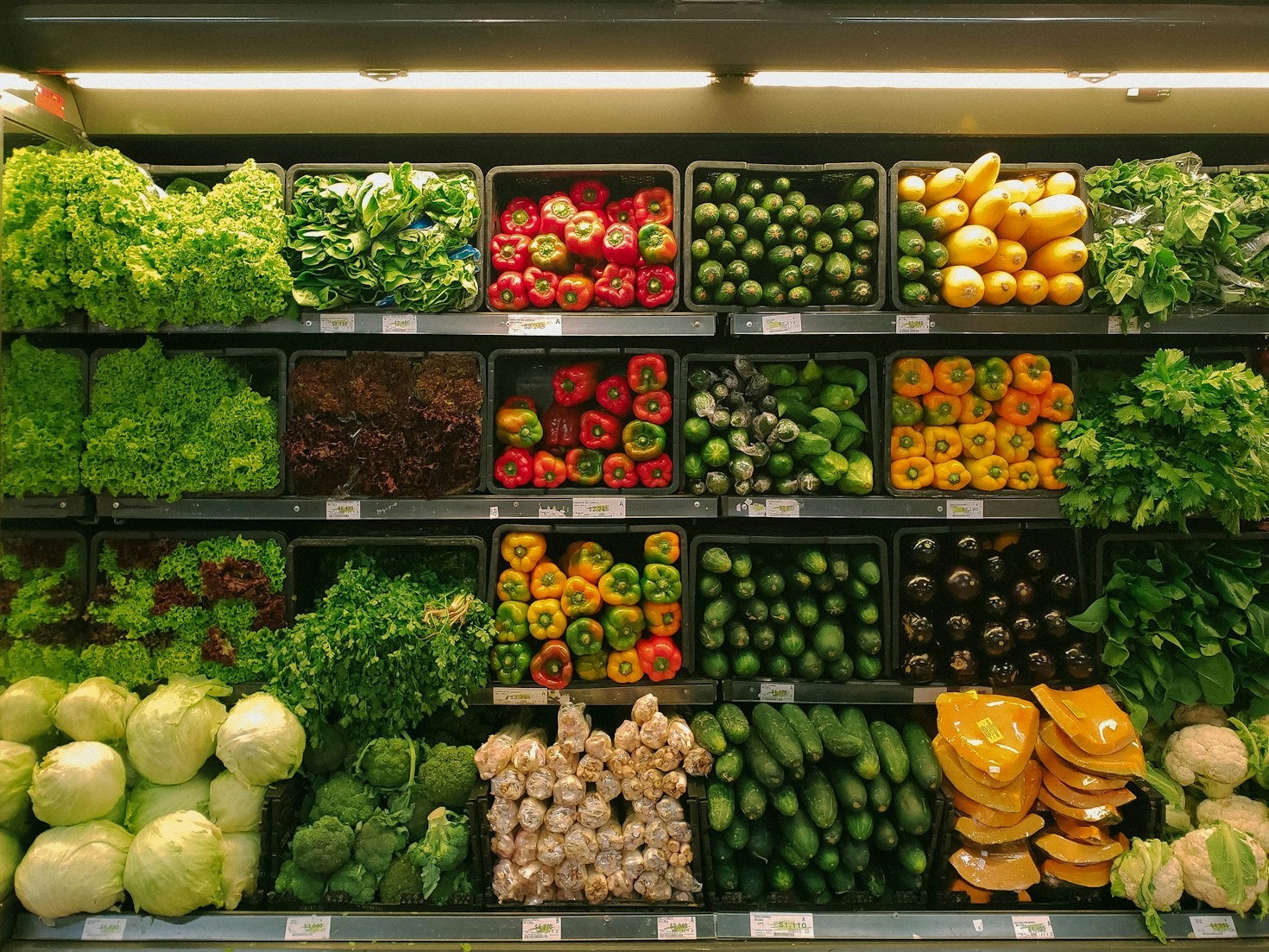 Understanding Cold Pressing Versus Traditional Juicing